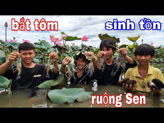 Giải Mã Giấc Mơ Hồng Vân Nằm Mơ Thấy Anh Vũ