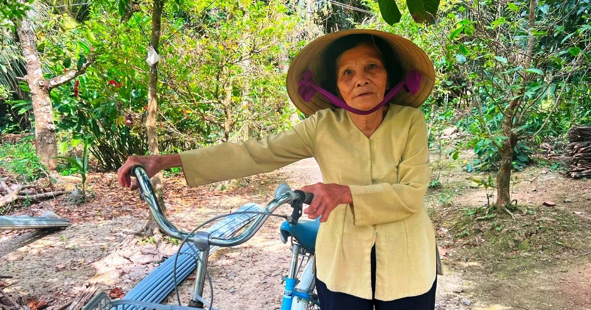 Nằm Mơ Thấy Nghĩa Địa Đánh Con Gì? Giải Mã Bí Ẩn