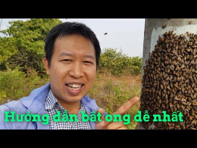 Giải Mã Giấc Mơ Thấy Giết Chó Đen Và Những Con Số Liên Quan