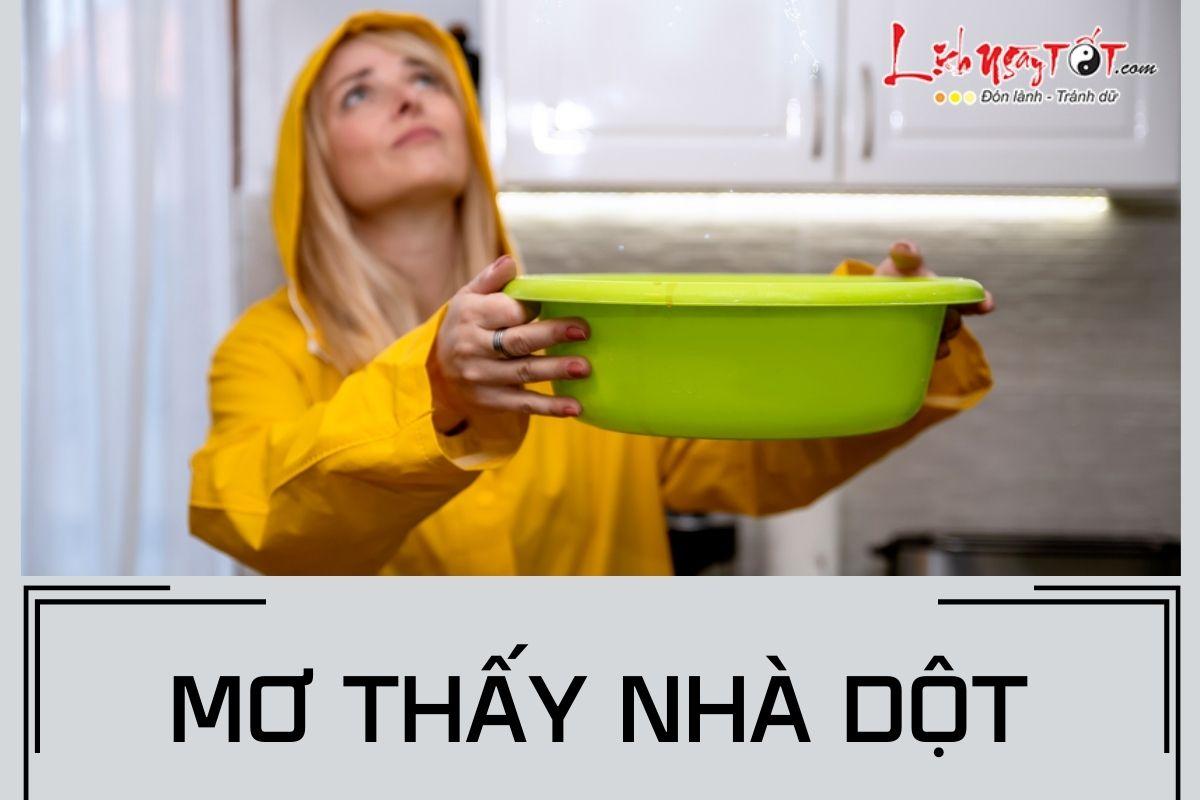 Giải Mã Giấc Mơ Thấy Kiến Và Con Số May Mắn