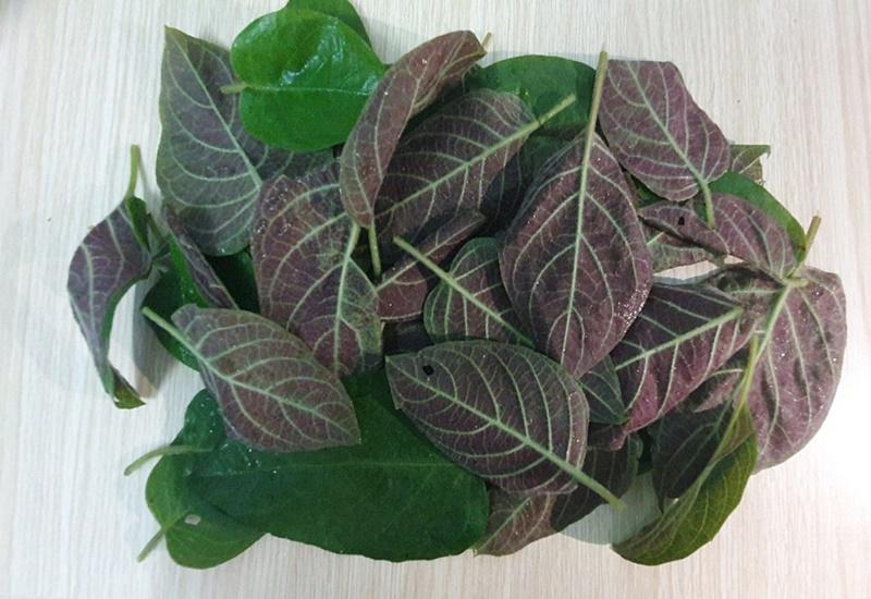 Nhặt Trứng Gà Tươi Trong Mơ