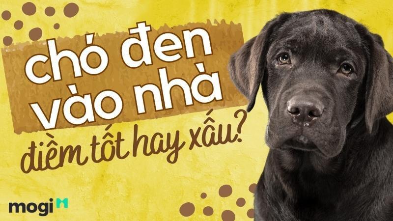 Nằm Mơ Thấy Mất Đồ Tìm Lại Được: Điềm Báo Gì Về Lô Đề?