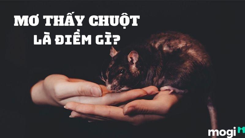 Giải Mã Giấc Mơ Thấy Mèo Cắn Chuột Và Con Số May Mắn