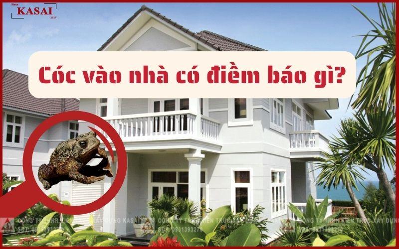 Nhiều cóc nhảy vào người - May mắn dồi dào