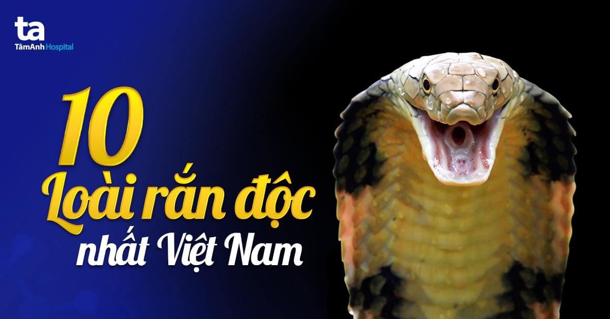 Nằm mơ thấy lái xe tải là số mấy? Giải mã chi tiết