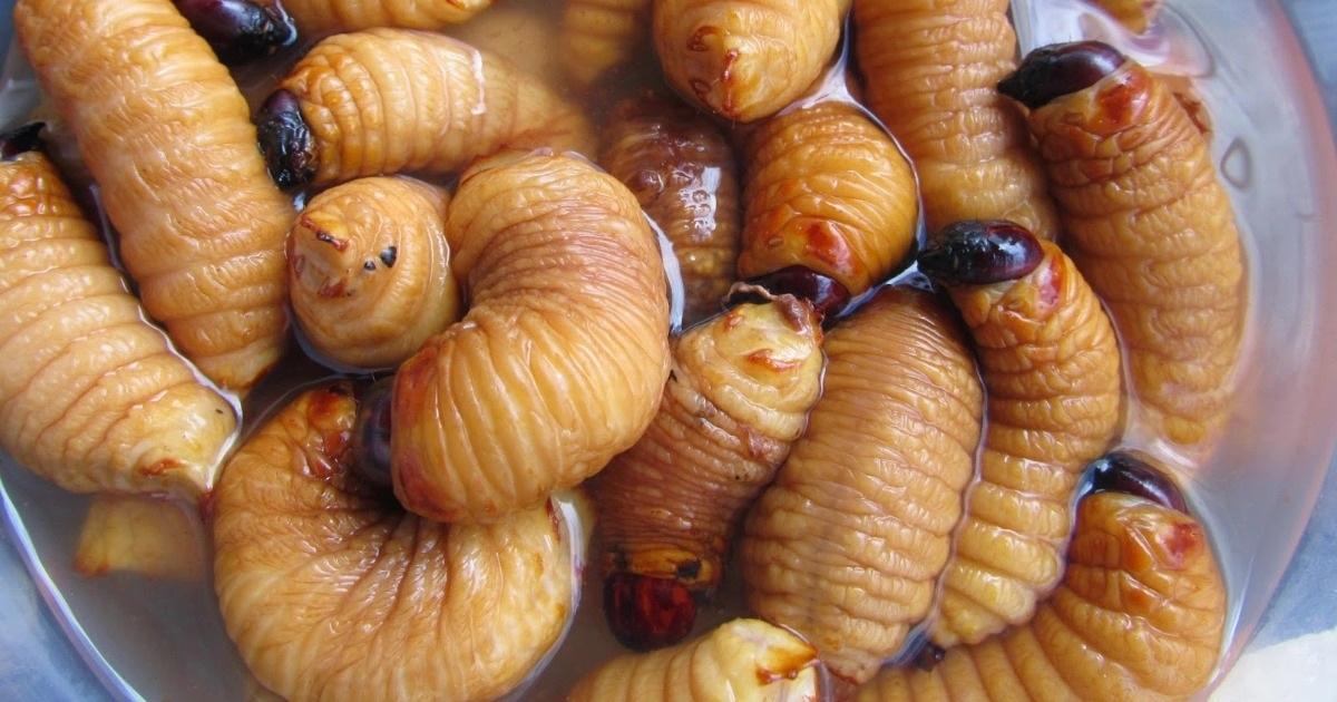 Bà Bầu Nằm Mơ Thấy Em Bé Trai: Giải Mã Số Đề