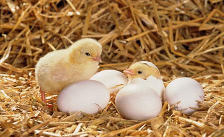 Giải Mã Giấc Mơ Thấy Người Chết Trôi Đánh Con Gì?