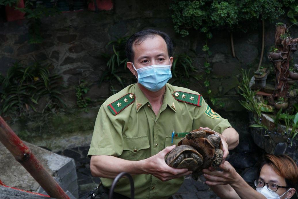 Phóng sanh rùa