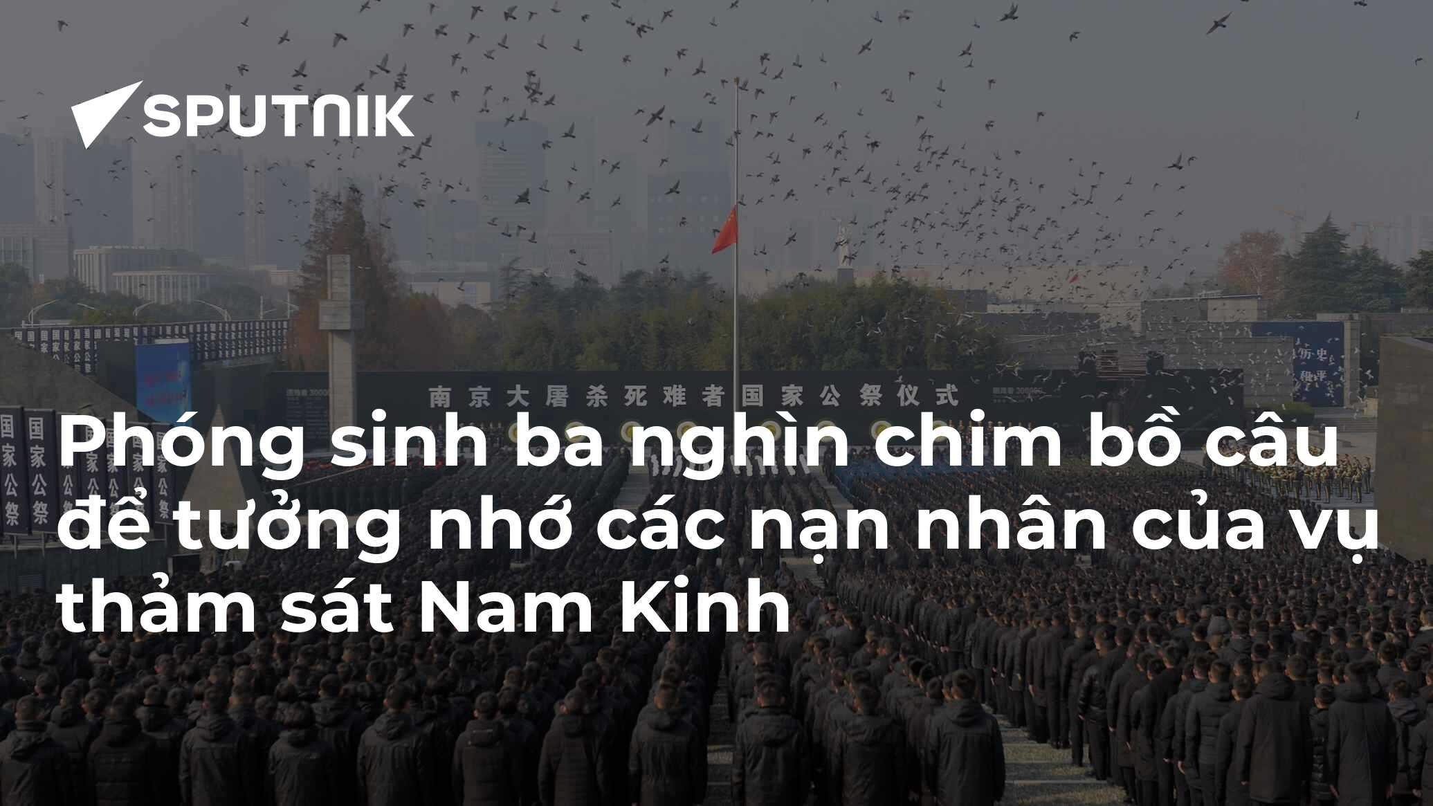 Nằm Mơ Thấy Con Vịt Đánh Số Mấy?