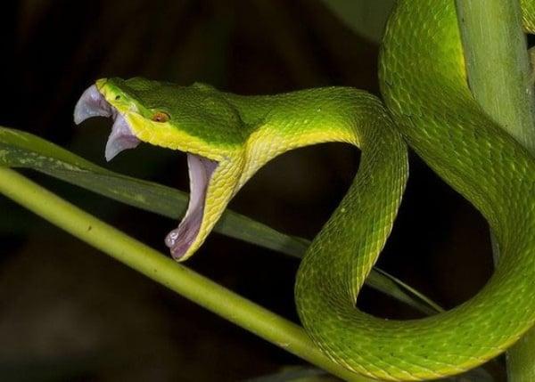 Giải Mã Giấc Mơ Thấy Bơi Trong Hồ Bơi Và Con Số May Mắn