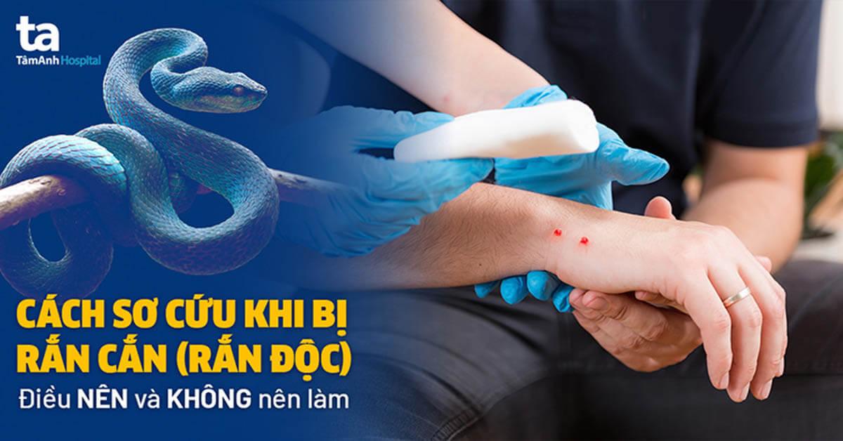 Giải Mã Giấc Mơ Thấy Mèo Vào Nhà Và Con Số May Mắn