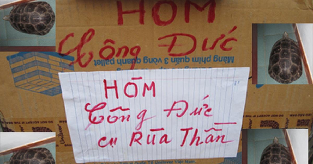 Giải Mã Giấc Mơ Thấy Mình Đang Rửa Tay