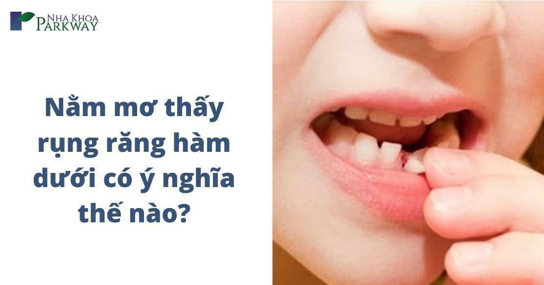 Giải Mã Giấc Mơ Thấy Ngựa Con: Điềm Báo Lô Đề