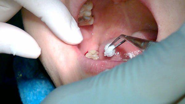 Giải Mã Giấc Mơ Thấy Mèo Lông Vàng Và Con Số May Mắn