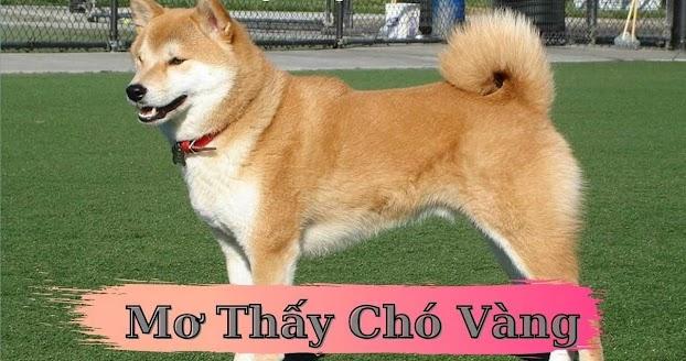 Giải Mã Giấc Mơ Thấy Cát: Điềm Báo Lành Hay Dữ?