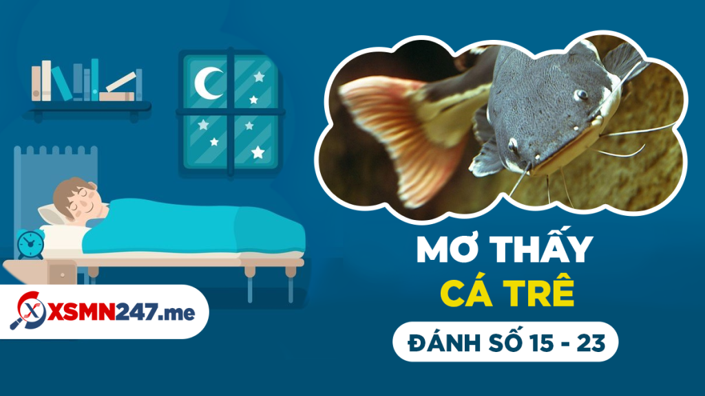 Giải Mã Giấc Mơ Thấy Màu Heo Và Con Số May Mắn