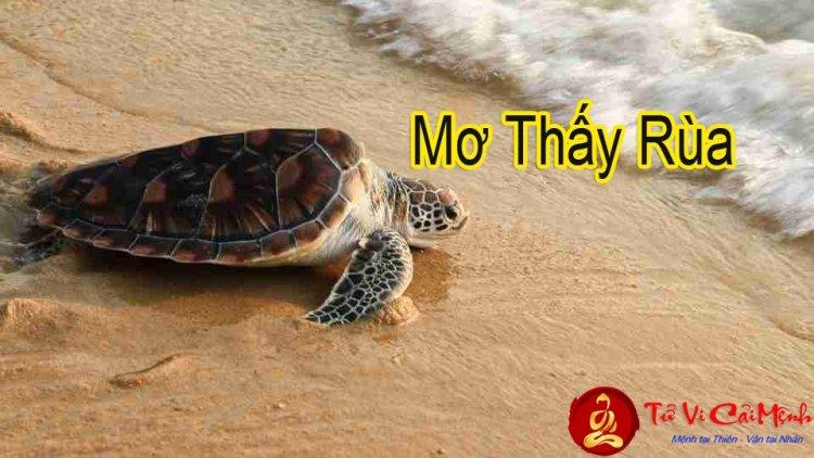 Giải Mã Giấc Mơ Thấy Gà Tây và Con Số May Mắn
