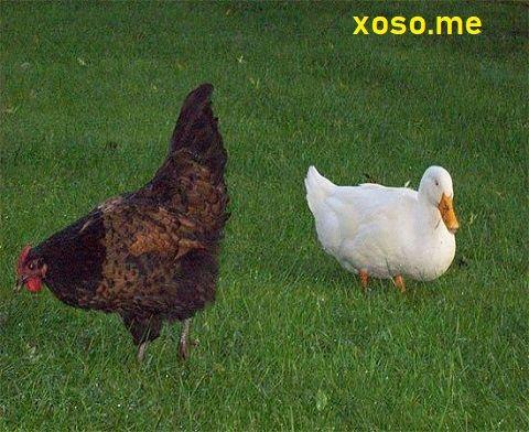 Nằm Mơ Cắt Móng Chân Đánh Con Gì? Giải Mã Chi Tiết