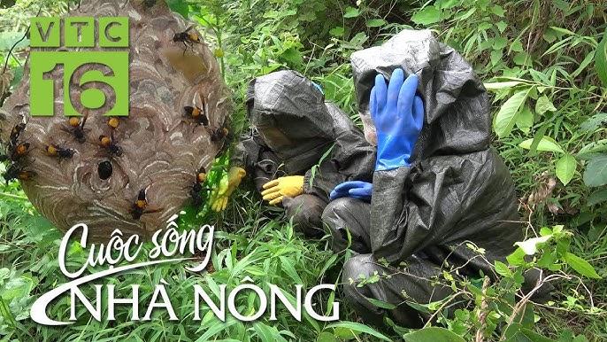 Giải Mã Giấc Mơ Thấy Đi Du Lịch Bằng Máy Bay