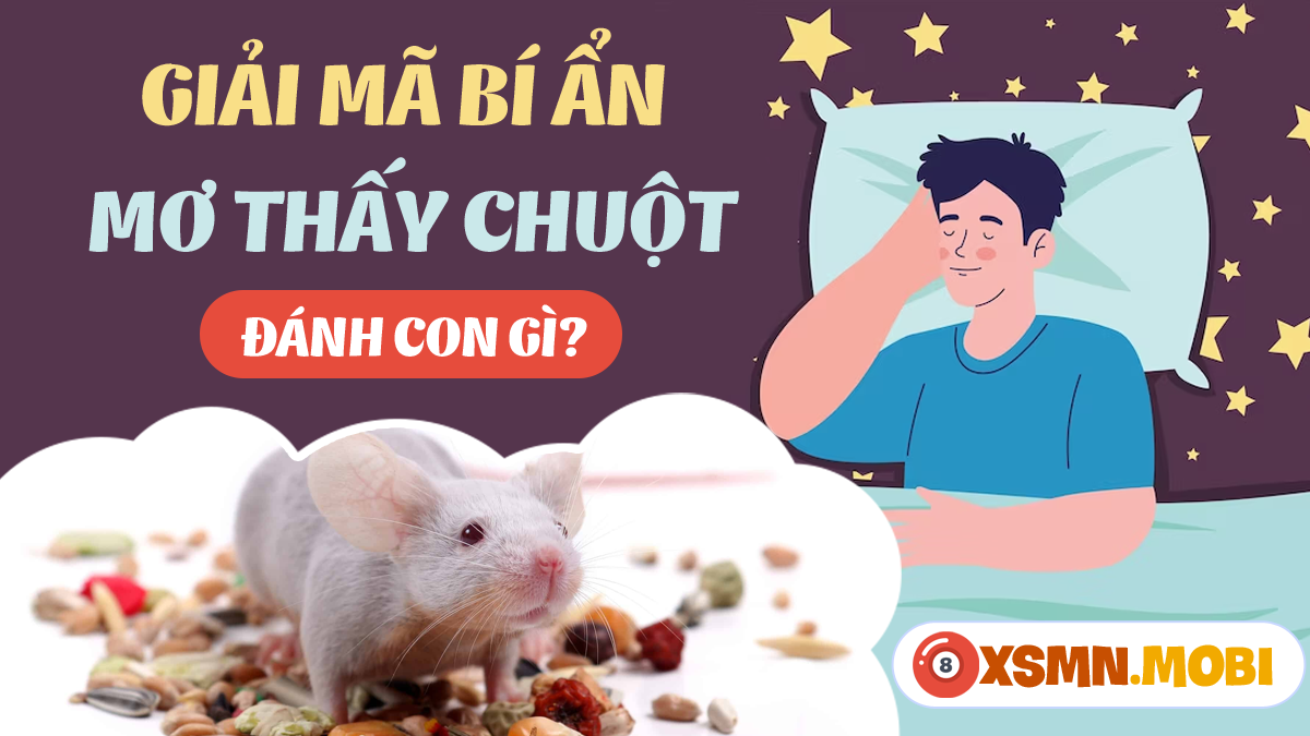 Giải Mã Giấc Mơ Thấy Đổi Tiền Và Con Số May Mắn