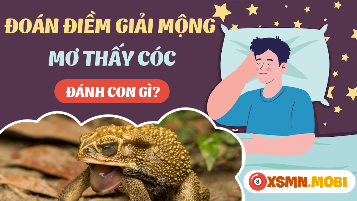 Tra cứu sổ mơ thấy con cóc