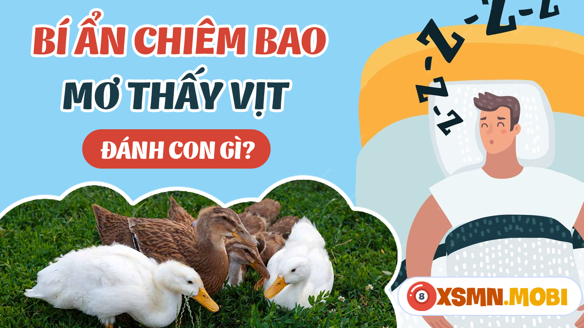 Tra Cứu Sổ Mơ Trứng Vịt