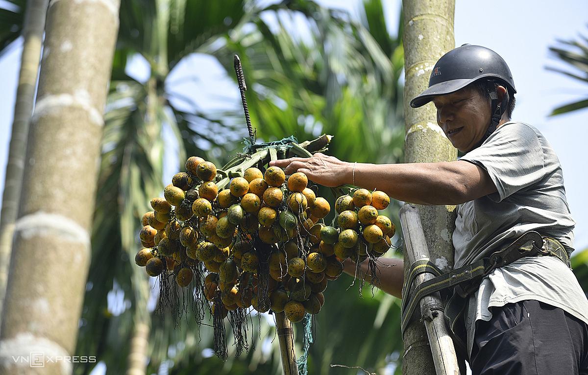 Nằm Mơ Đái Dầm Đánh Con Gì? Giải Mã Bí Ẩn