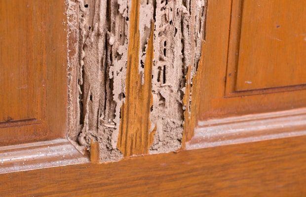 Nằm Mơ Thấy Chồng Chết Có Điềm Gì? Giải Mã & Con Số May Mắn