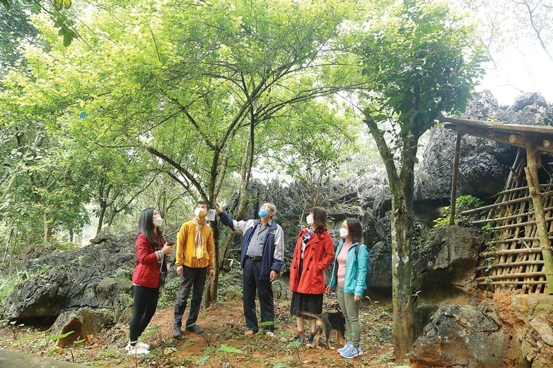 Giải Mã Giấc Mơ Thấy Con Vật Lạ