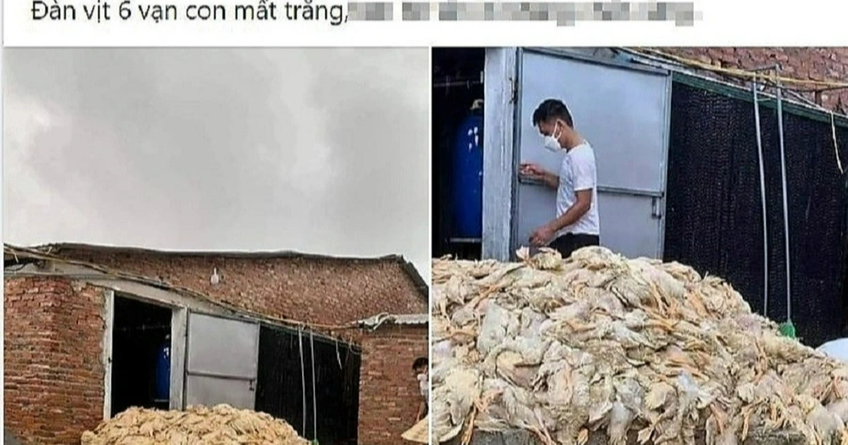 Giải Mã Giấc Mơ Thấy Bóng Ma Đen