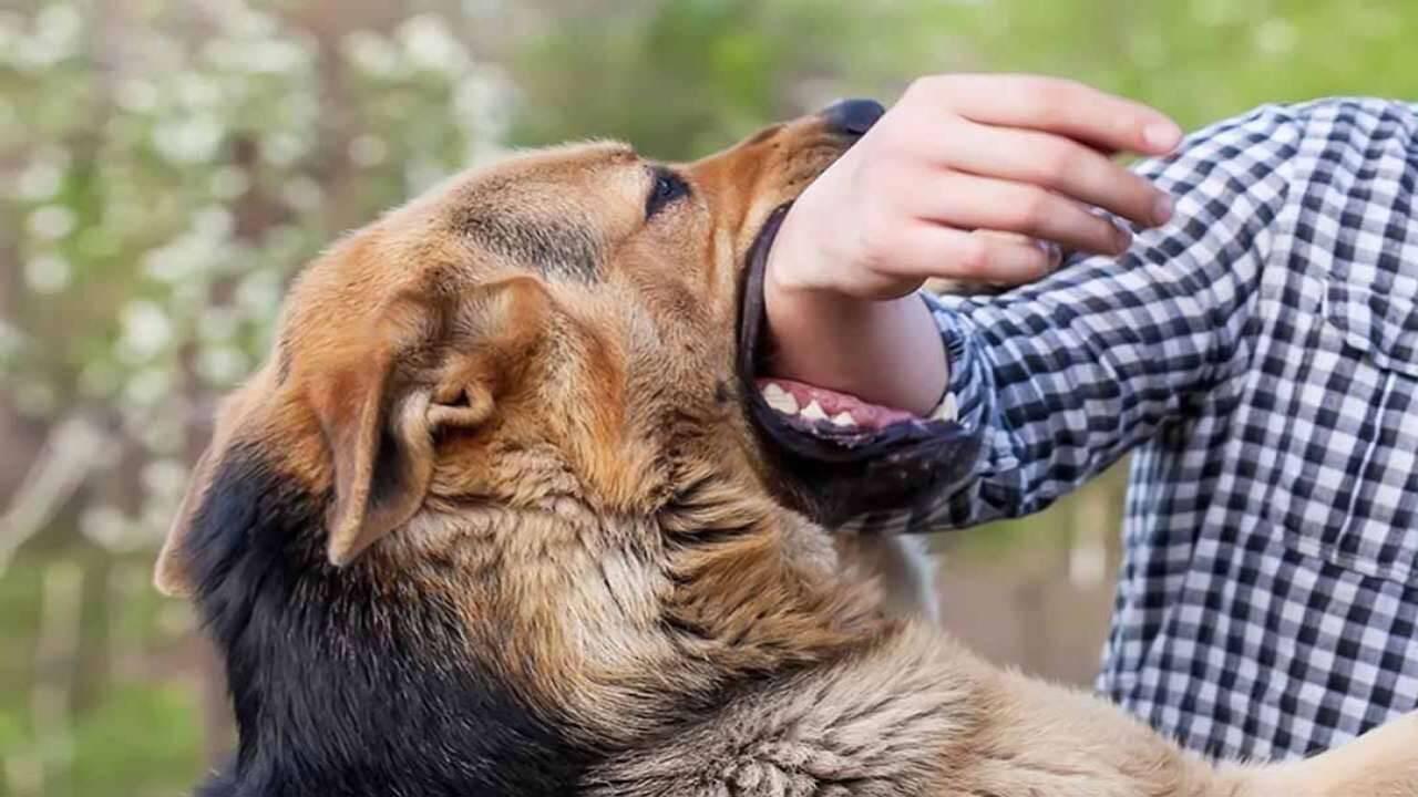 Giải Mã Giấc Mơ Thấy Quan Tài: Điềm Báo Gì Về Số Đề?