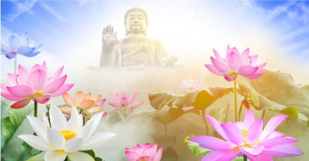 Ý nghĩa giấc mơ thấy hạt sen và con số may mắn liên quan