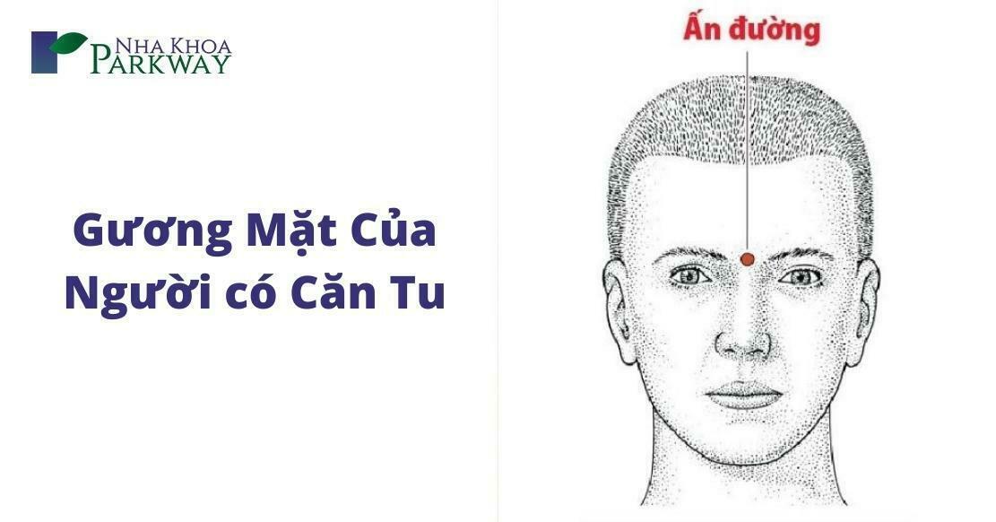Giải Mã Giấc Mơ Thấy Màu Heo Và Con Số May Mắn