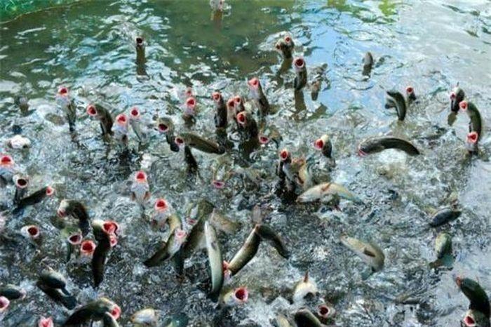 Nằm Mơ Lên Đỉnh Khi Mang Thai: Giải Mã Lô Đề