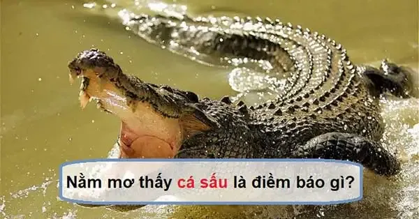 Giải Mã Giấc Mơ Thấy Sông Cạn Nước Đánh Đề Con Gì?