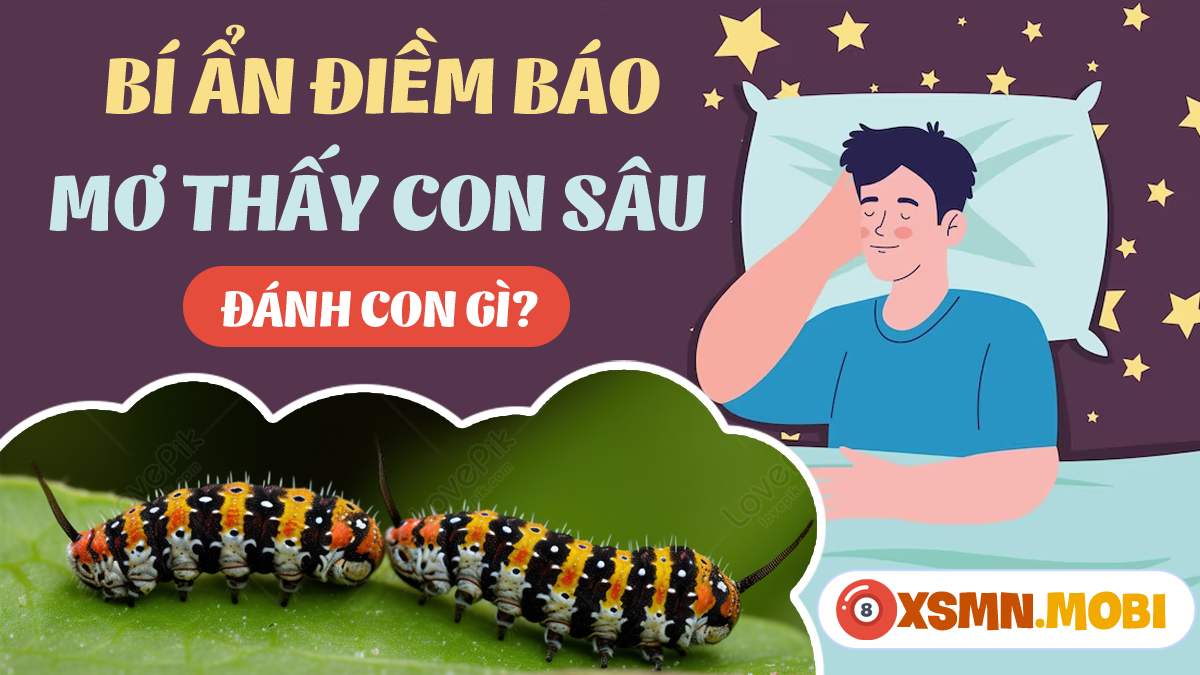 Nằm Mơ Thấy Con Dơi Vào Nhà Đánh Con Gì?