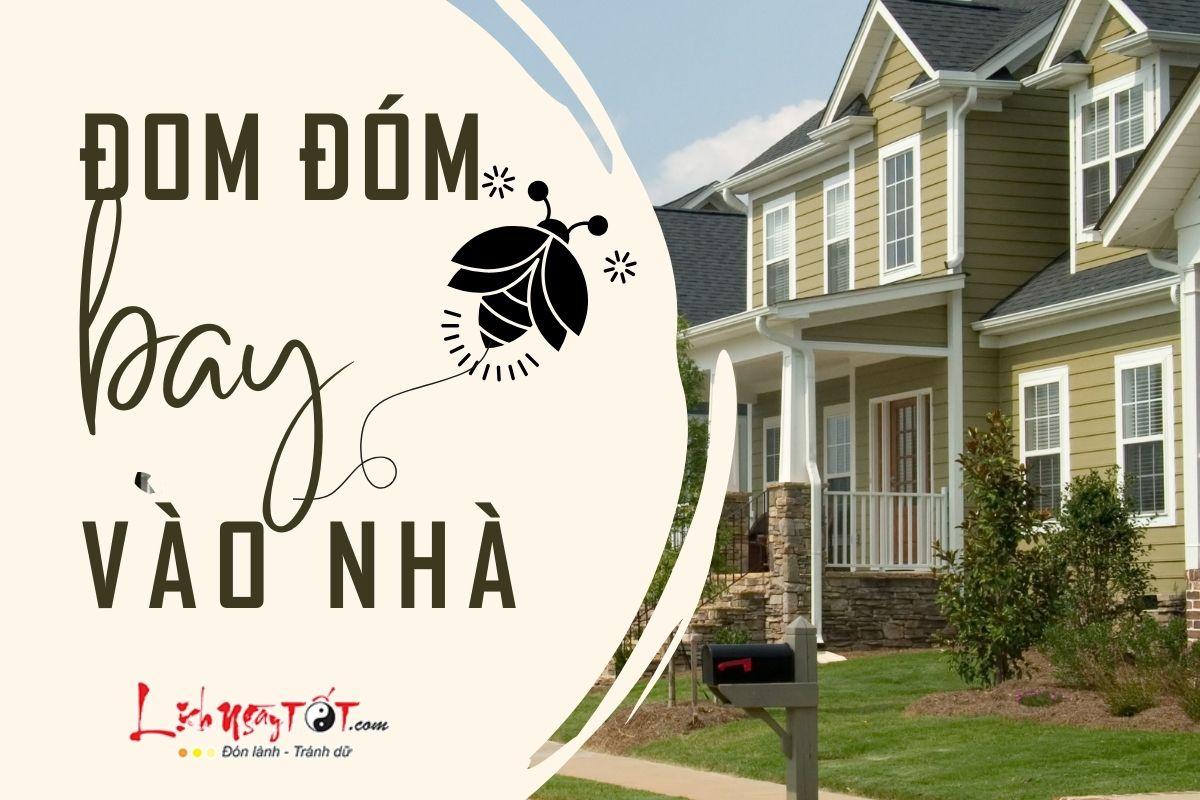 Ý nghĩa tâm linh của đom đóm trong giấc mơ