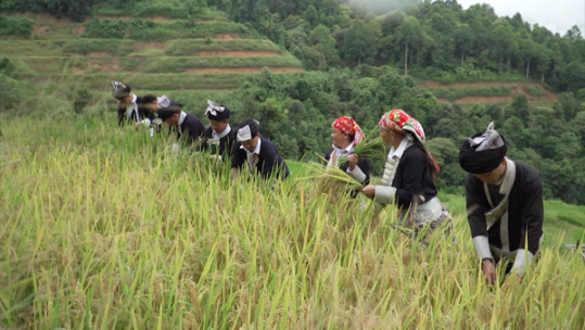 Nằm Mơ Giếng Đầy Nước Đánh Đề Con Gì?