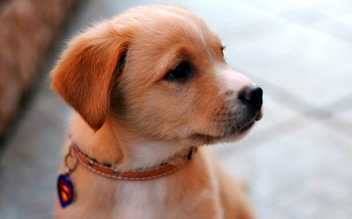 Giải Mã Giấc Mơ Thấy Đổi Tiền Và Con Số May Mắn